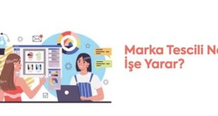 10 Yıllık Marka Tescil Ücreti Ne Kadar? Güncel Bilgiler