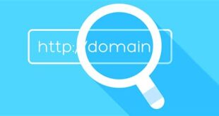 Domain Uzantıları: Hangi Uzantı Hangi Amaç İçin Kullanılır?