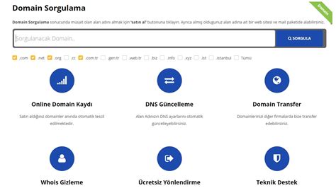 Domain Yaşı Sorgulama: Alan Adınızın Kaç Yıllık Olduğunu Öğrenin