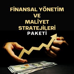 Finansal Yönetim Stratejileri