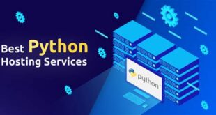 Python Web Hosting: Python Destekli Hosting Seçenekleri