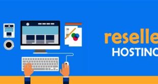 Reseller Hosting Nedir? Bayilik Hizmetleri Hakkında Bilgi