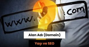 Domain Yaşının SEO Üzerindeki Etkisi: Neden Önemlidir?