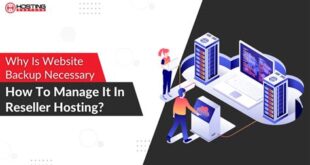 Niche Pazarlar için Reseller Hosting: Hangi Alanlarda Başarılı Olabilirsiniz?