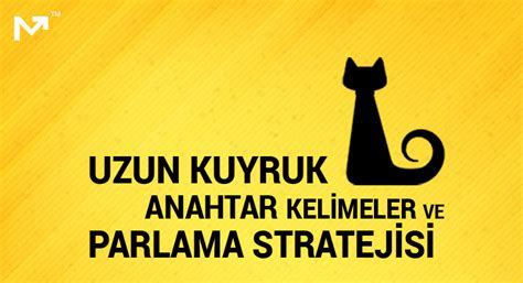 Uzun Kuyruk Domain Seçimi Stratejileri