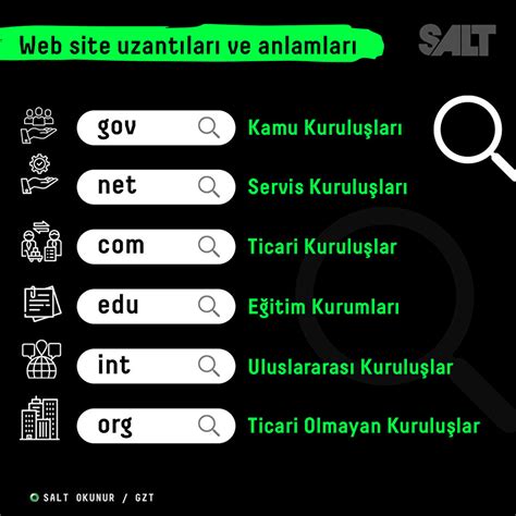 Domain Uzantıları