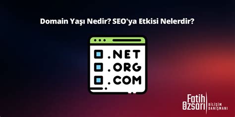 Domain Yaşı Sorgulama