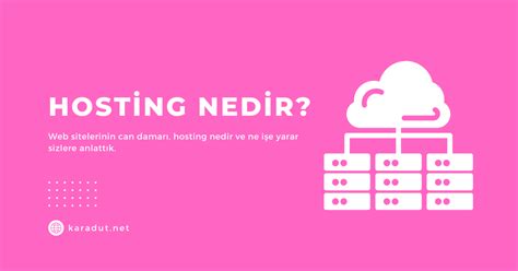 Web Hosting Firmaları